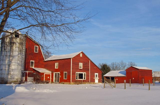 Sprout Creek Farm